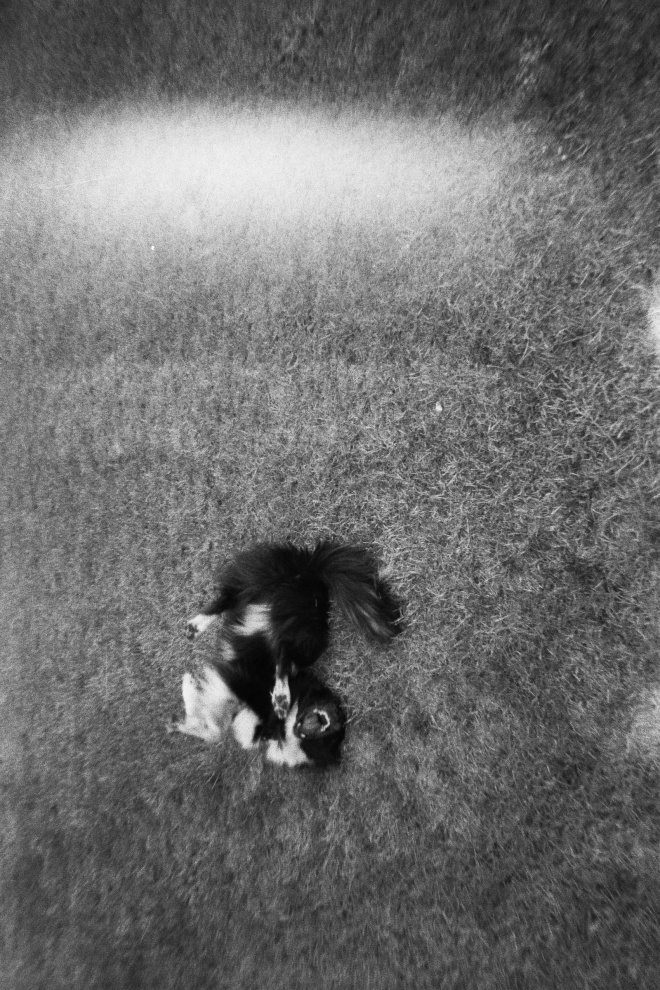 Analogic B&W