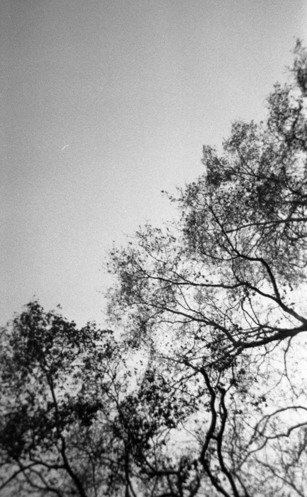 Analogic B&W