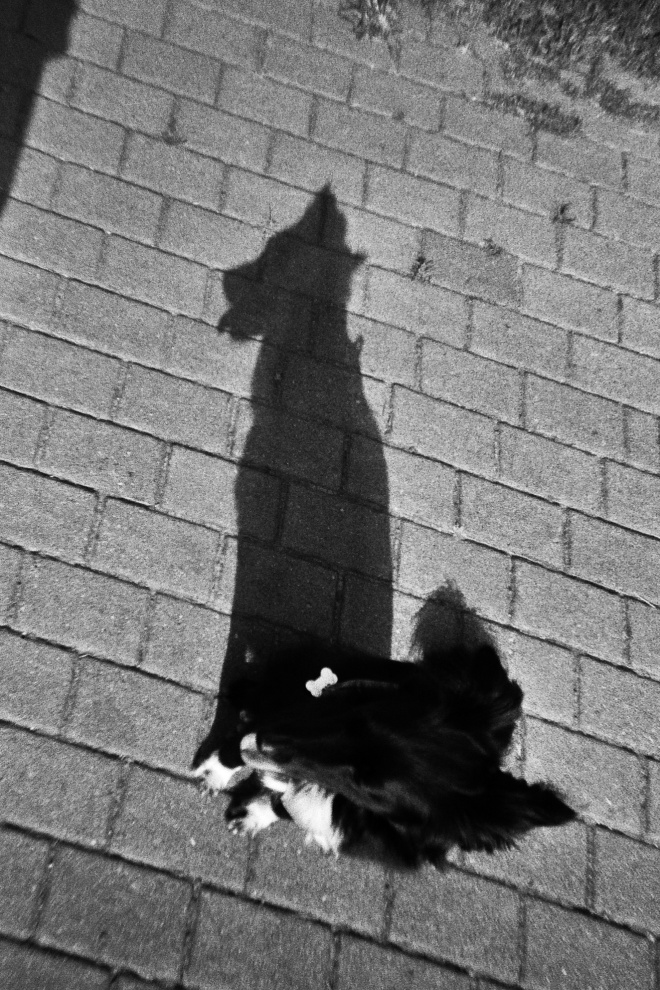 Analogic B&W
