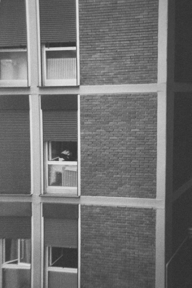 Analogic B&W