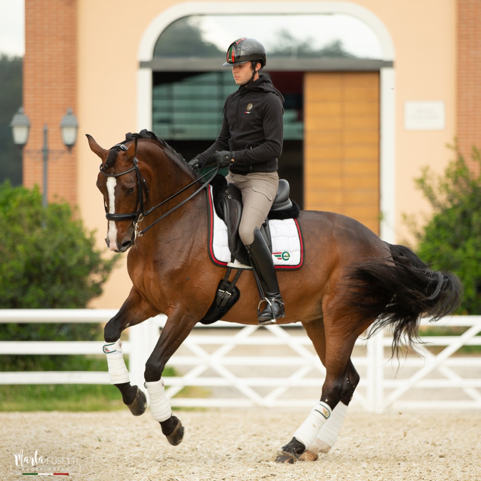 Stefano Chesi: passione, talento e professionalità al servizio dei cavalli